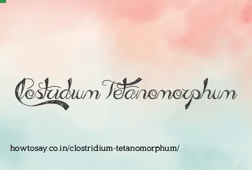 Clostridium Tetanomorphum