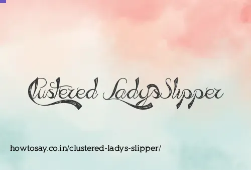 Clustered Ladys Slipper