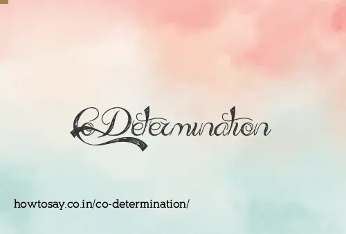 Co Determination