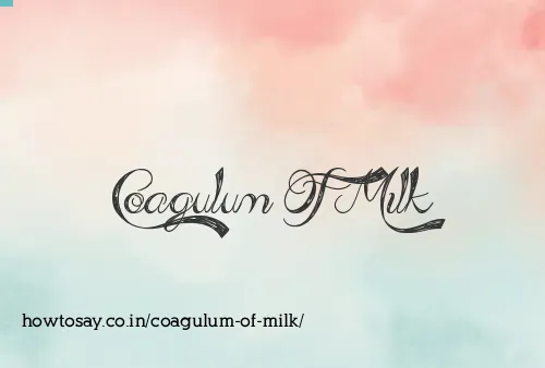 Coagulum Of Milk