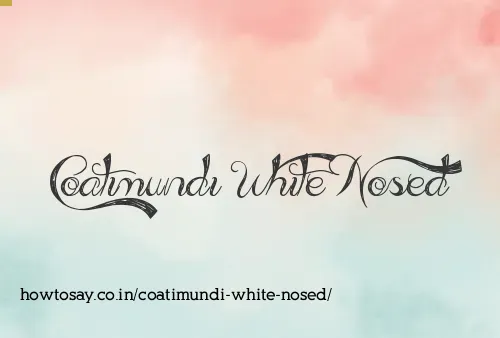 Coatimundi White Nosed