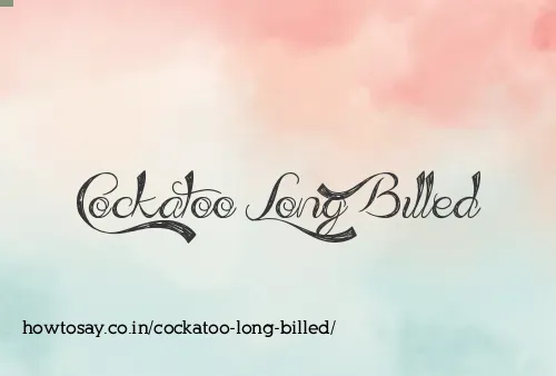 Cockatoo Long Billed