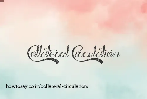 Collateral Circulation