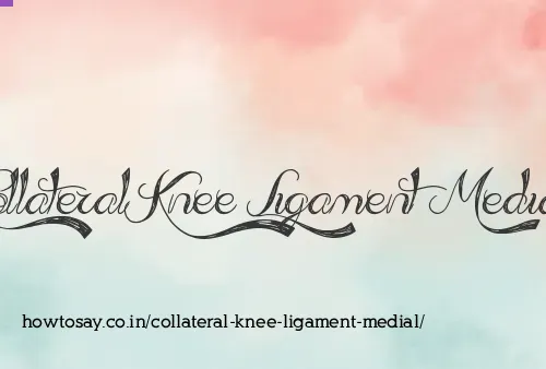 Collateral Knee Ligament Medial