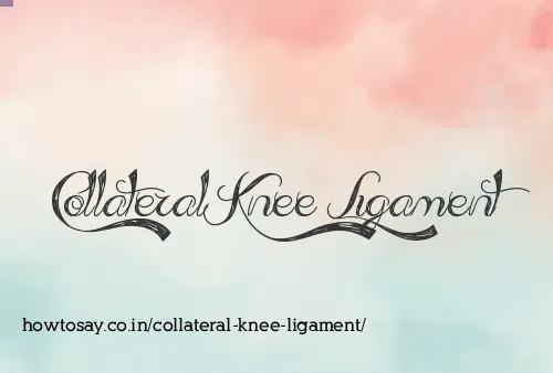 Collateral Knee Ligament