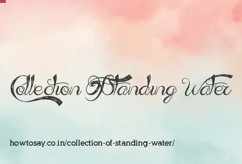 Collection Of Standing Water