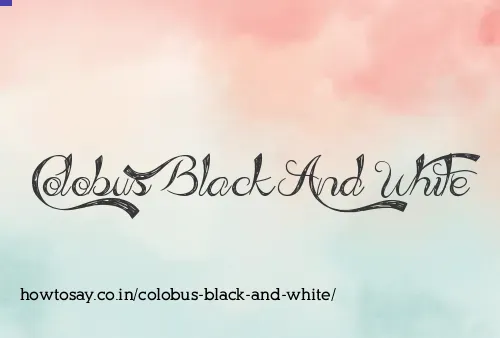 Colobus Black And White