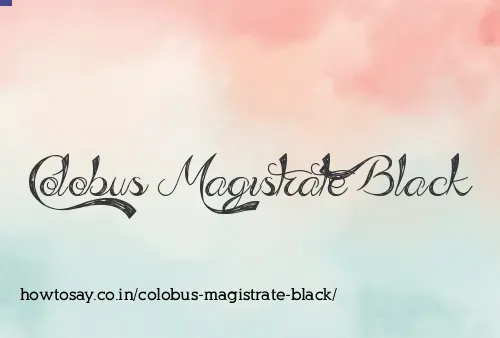 Colobus Magistrate Black