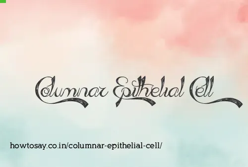 Columnar Epithelial Cell