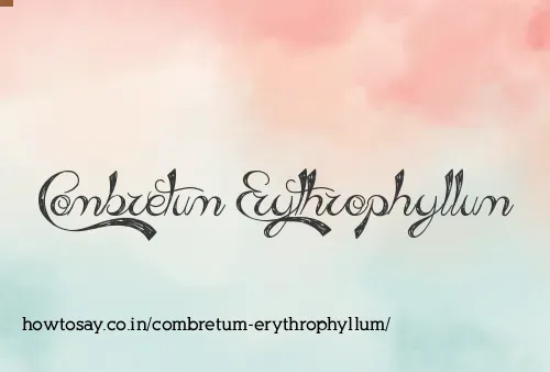 Combretum Erythrophyllum