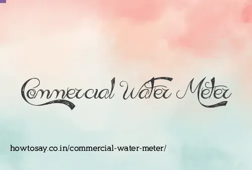 Commercial Water Meter