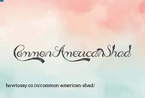 Common American Shad