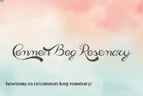 Common Bog Rosemary