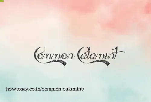 Common Calamint