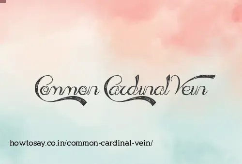 Common Cardinal Vein
