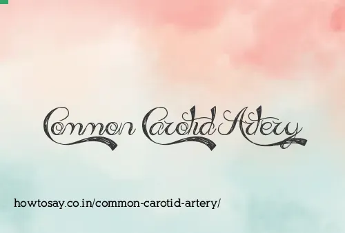 Common Carotid Artery