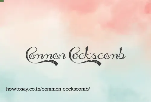 Common Cockscomb