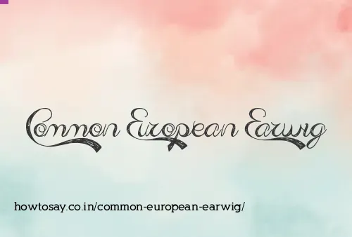 Common European Earwig