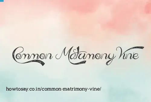 Common Matrimony Vine