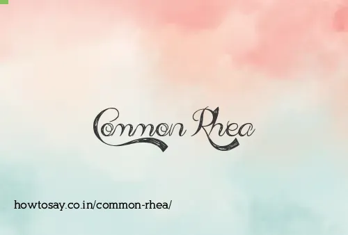 Common Rhea