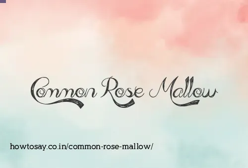 Common Rose Mallow