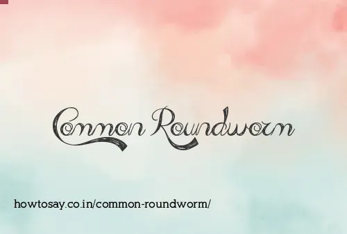 Common Roundworm