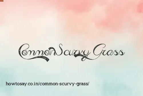 Common Scurvy Grass