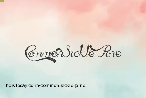Common Sickle Pine