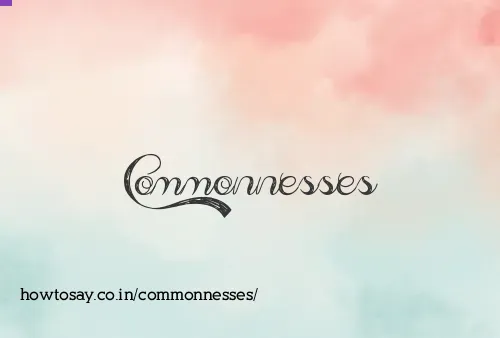 Commonnesses