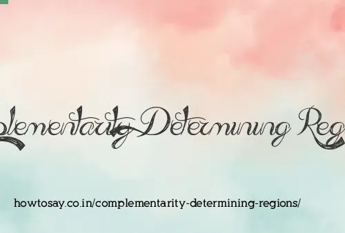 Complementarity Determining Regions