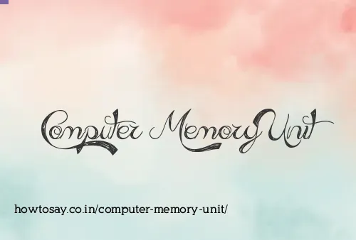 Computer Memory Unit
