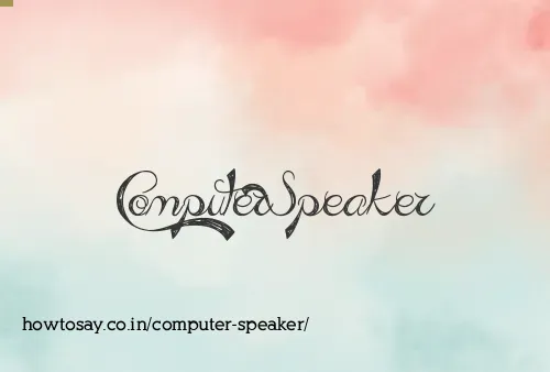 Computer Speaker