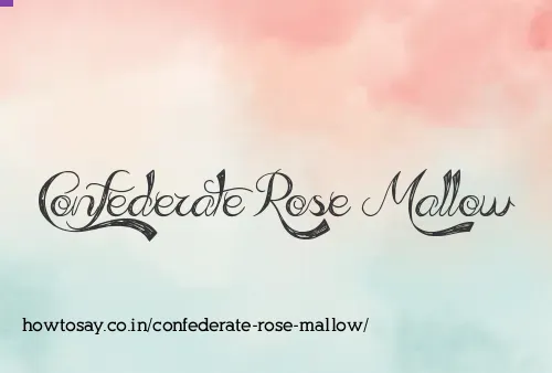 Confederate Rose Mallow