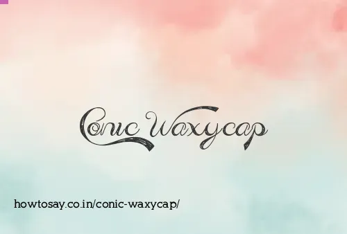 Conic Waxycap