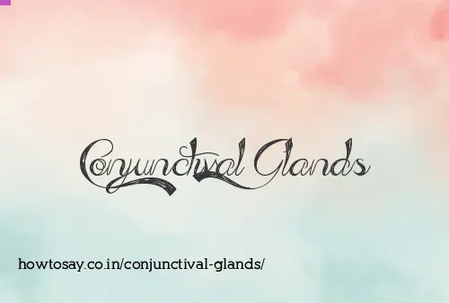 Conjunctival Glands