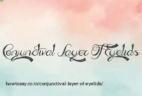 Conjunctival Layer Of Eyelids
