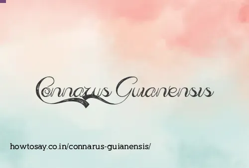 Connarus Guianensis
