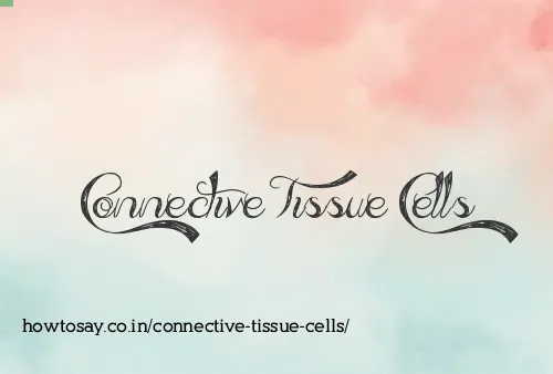 Connective Tissue Cells