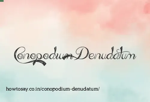 Conopodium Denudatum
