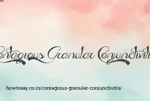 Contagious Granular Conjunctivitis