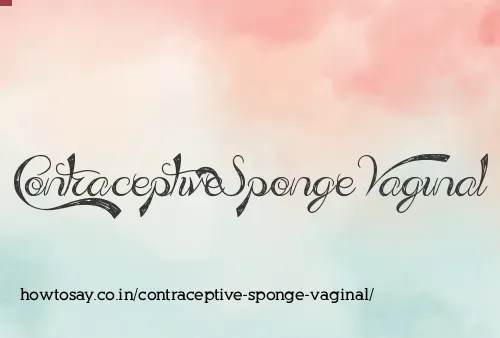 Contraceptive Sponge Vaginal