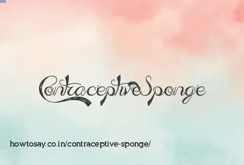 Contraceptive Sponge