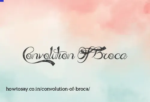 Convolution Of Broca