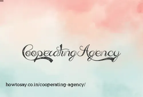 Cooperating Agency