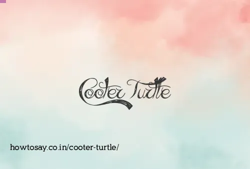 Cooter Turtle