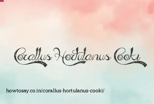 Corallus Hortulanus Cooki