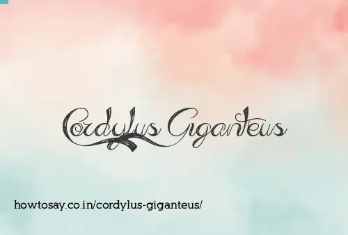 Cordylus Giganteus