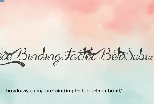 Core Binding Factor Beta Subunit
