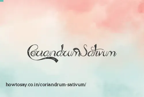 Coriandrum Sativum