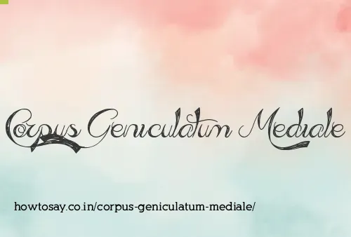 Corpus Geniculatum Mediale